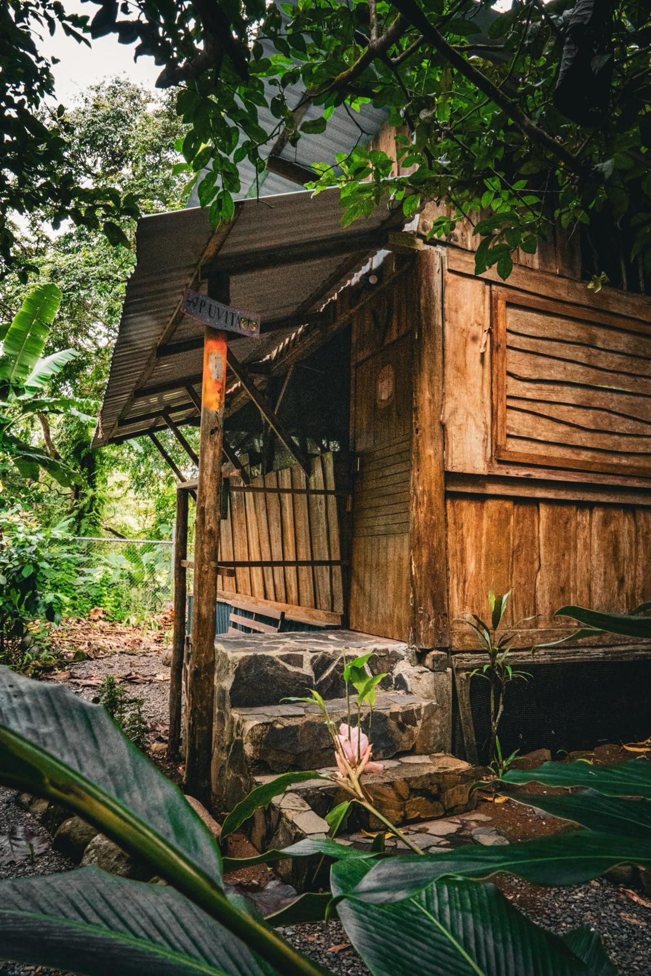 Albergue Flutterby House Uvita Exterior foto